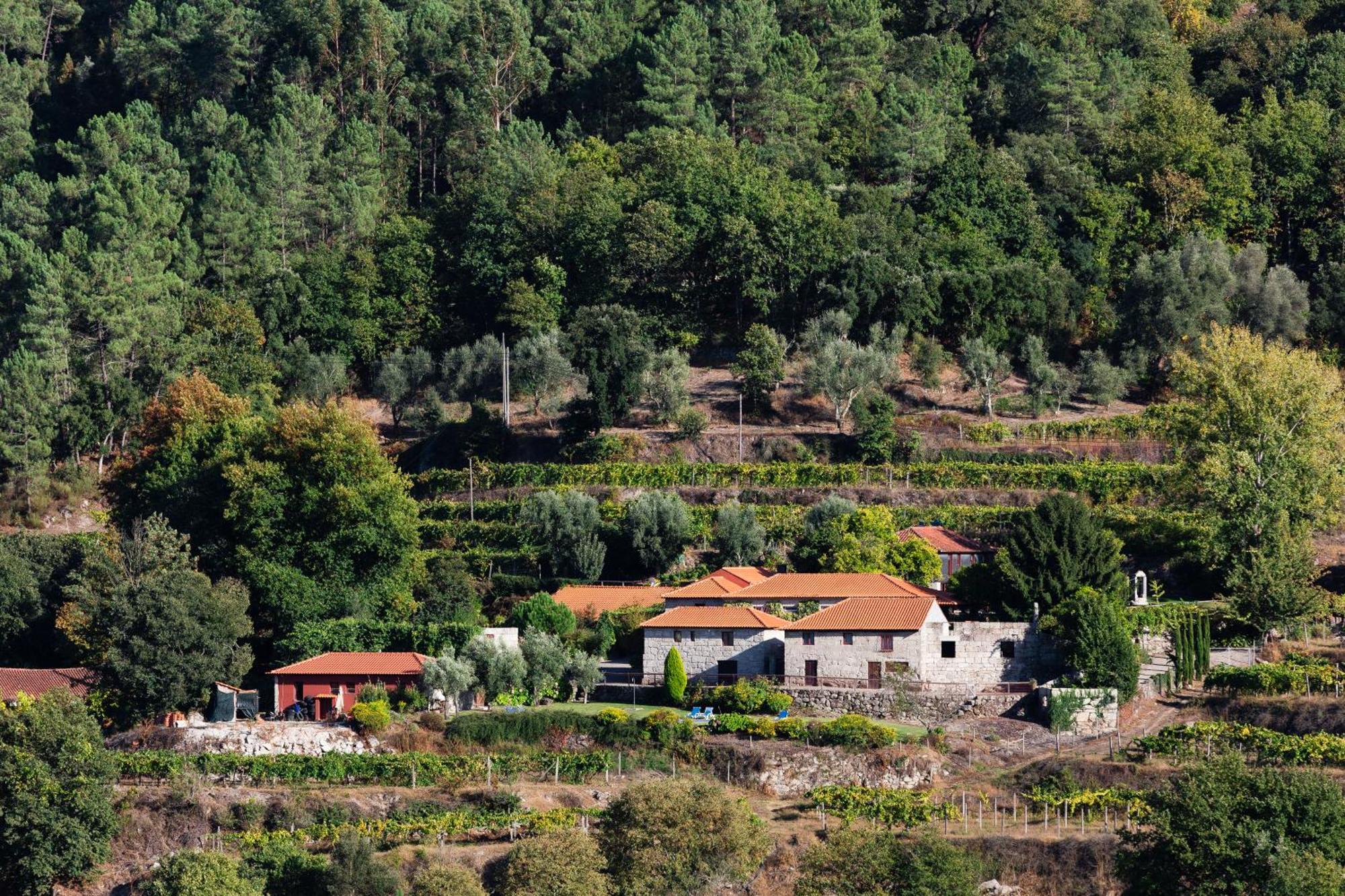 Quinta Da Pousadela - Agroturismo Guest House Amarante Eksteriør bilde