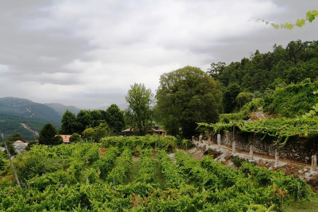 Quinta Da Pousadela - Agroturismo Guest House Amarante Eksteriør bilde